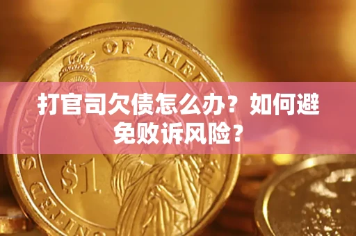 北京打官司欠债怎么办？如何避免败诉风险？
