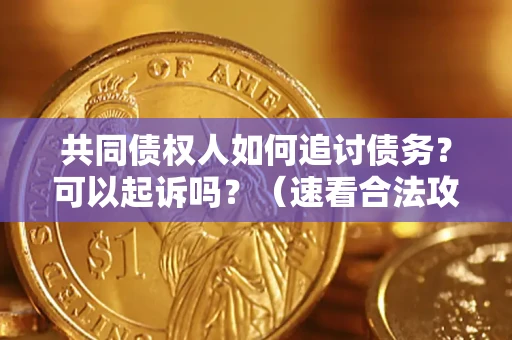 北京共同债权人如何追讨债务？可以起诉吗？（速看合法攻略）
