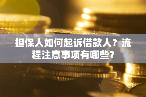 北京担保人如何起诉借款人？流程注意事项有哪些？